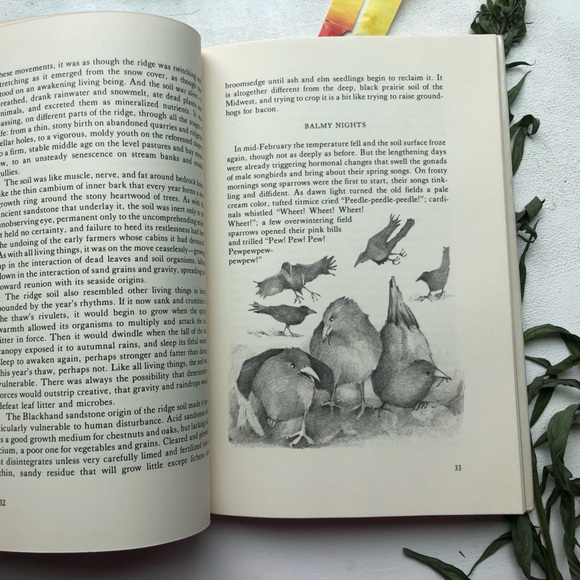 Idle Weeds: The Life of Sandstone Ridge by David Rains Wallace, hardcover ex lib - Picture 17 of 17